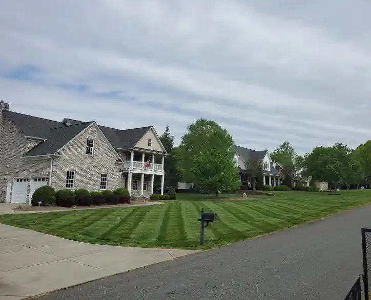 Established sod lawn cared for by Lawn Firm in Concord, NC