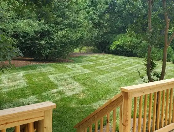Lawn fertilization service in Concord, NC