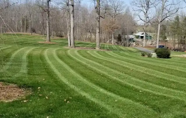 Routine lawn maintenance in Concord, NC