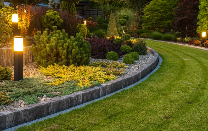 Pathway lighting along a garden walkway